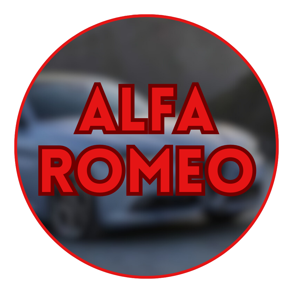 PARTS FOR THE MOST POPULAR CAR BRANDS