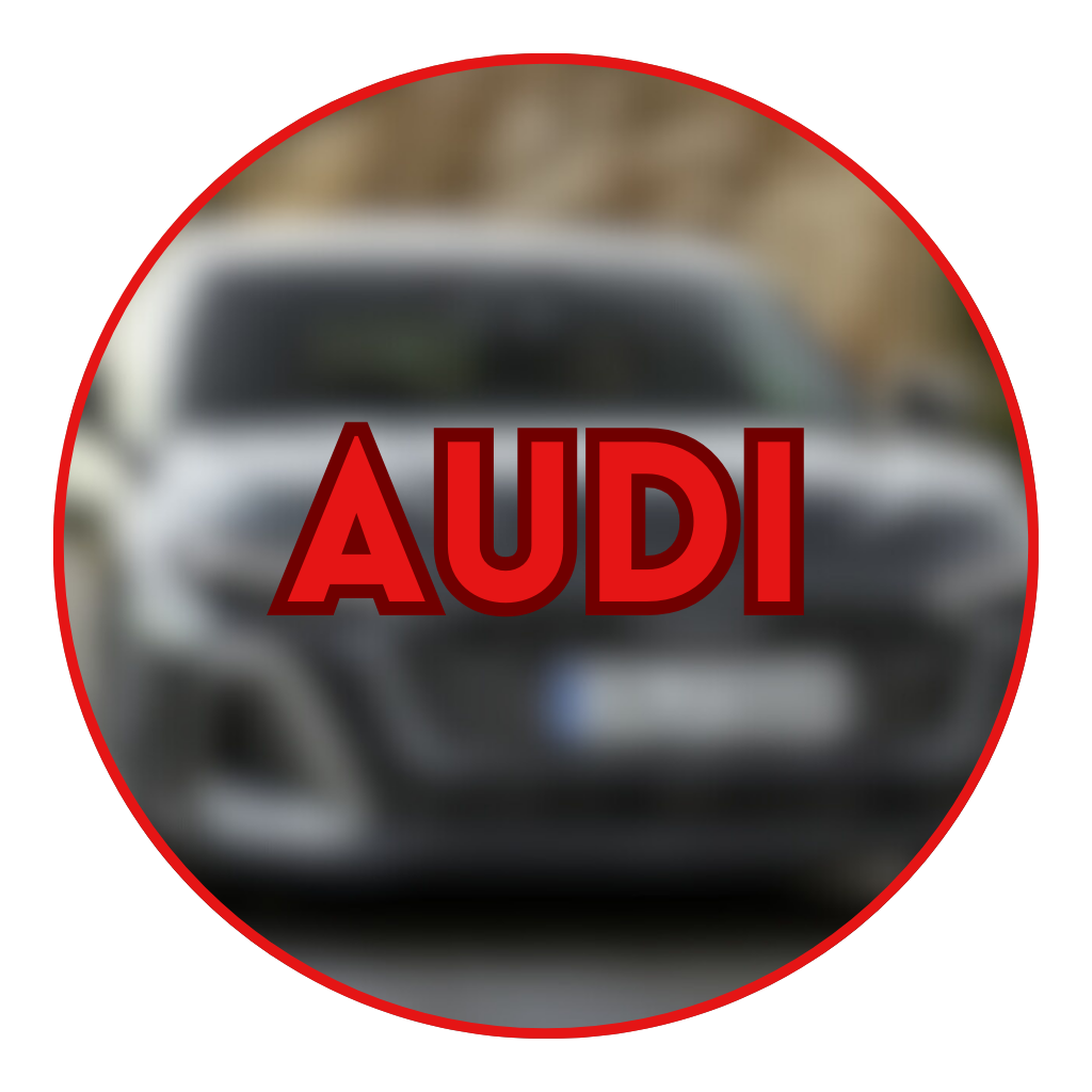 PARTS FOR THE MOST POPULAR CAR BRANDS