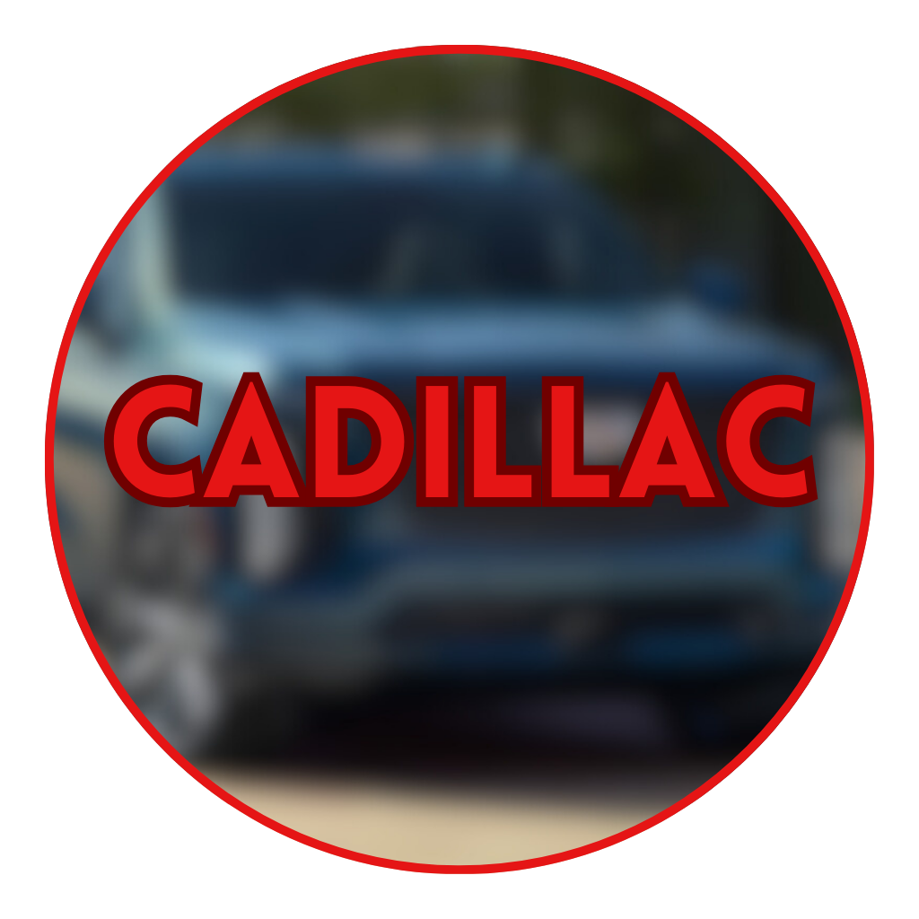 PARTS FOR THE MOST POPULAR CAR BRANDS