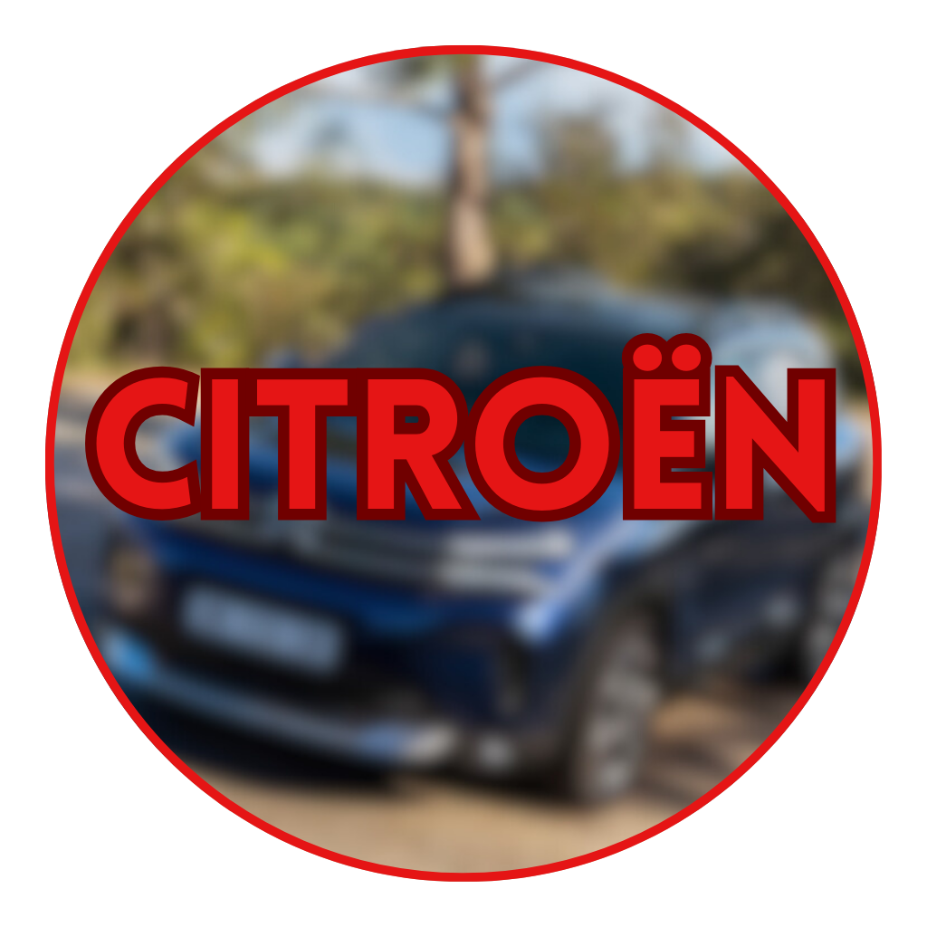 PARTS FOR THE MOST POPULAR CAR BRANDS