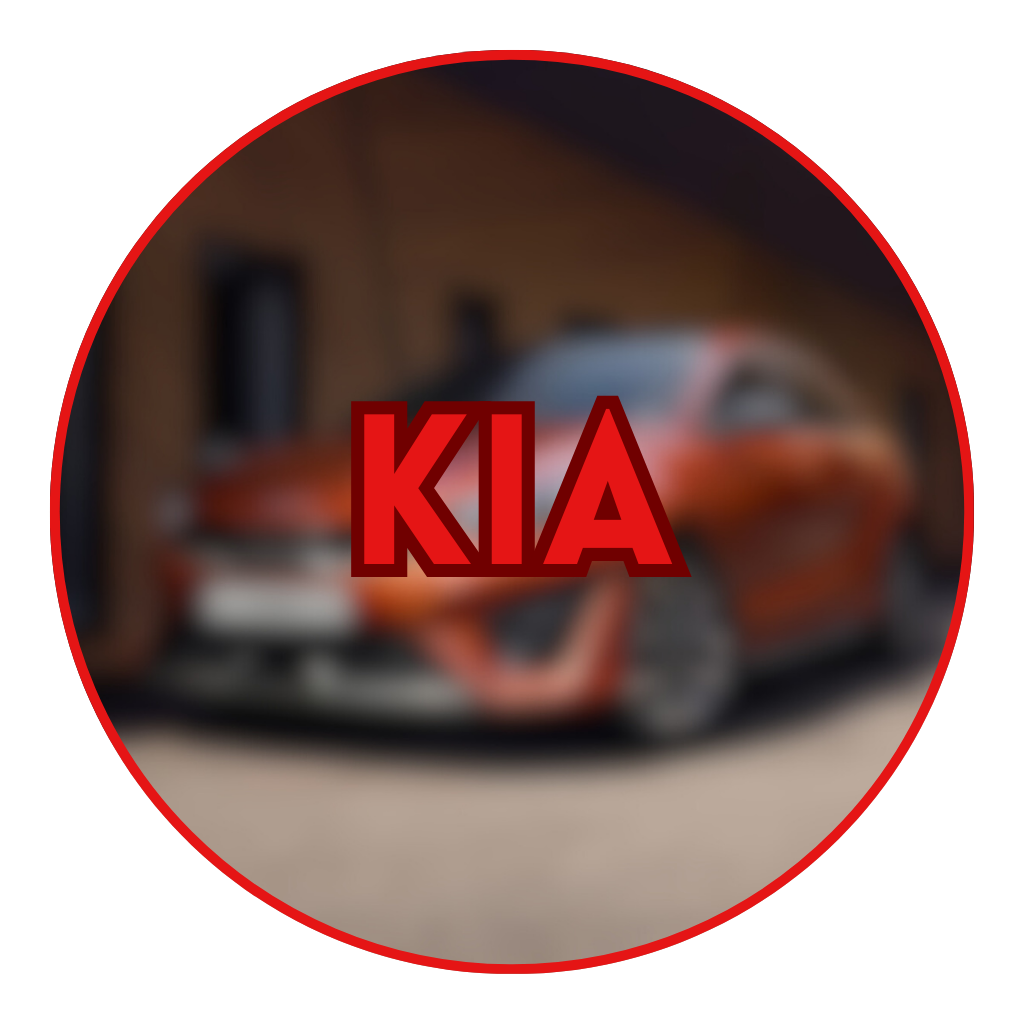 PARTS FOR THE MOST POPULAR CAR BRANDS