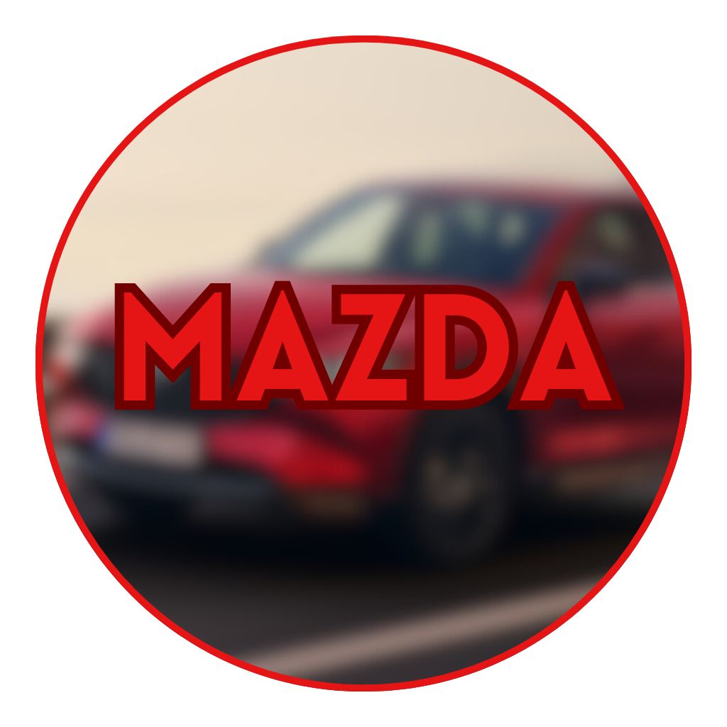 PARTS FOR THE MOST POPULAR CAR BRANDS