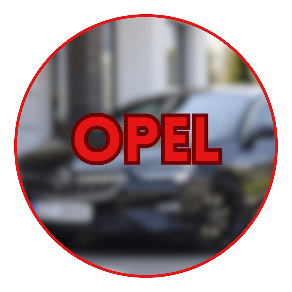 PARTS FOR THE MOST POPULAR CAR BRANDS