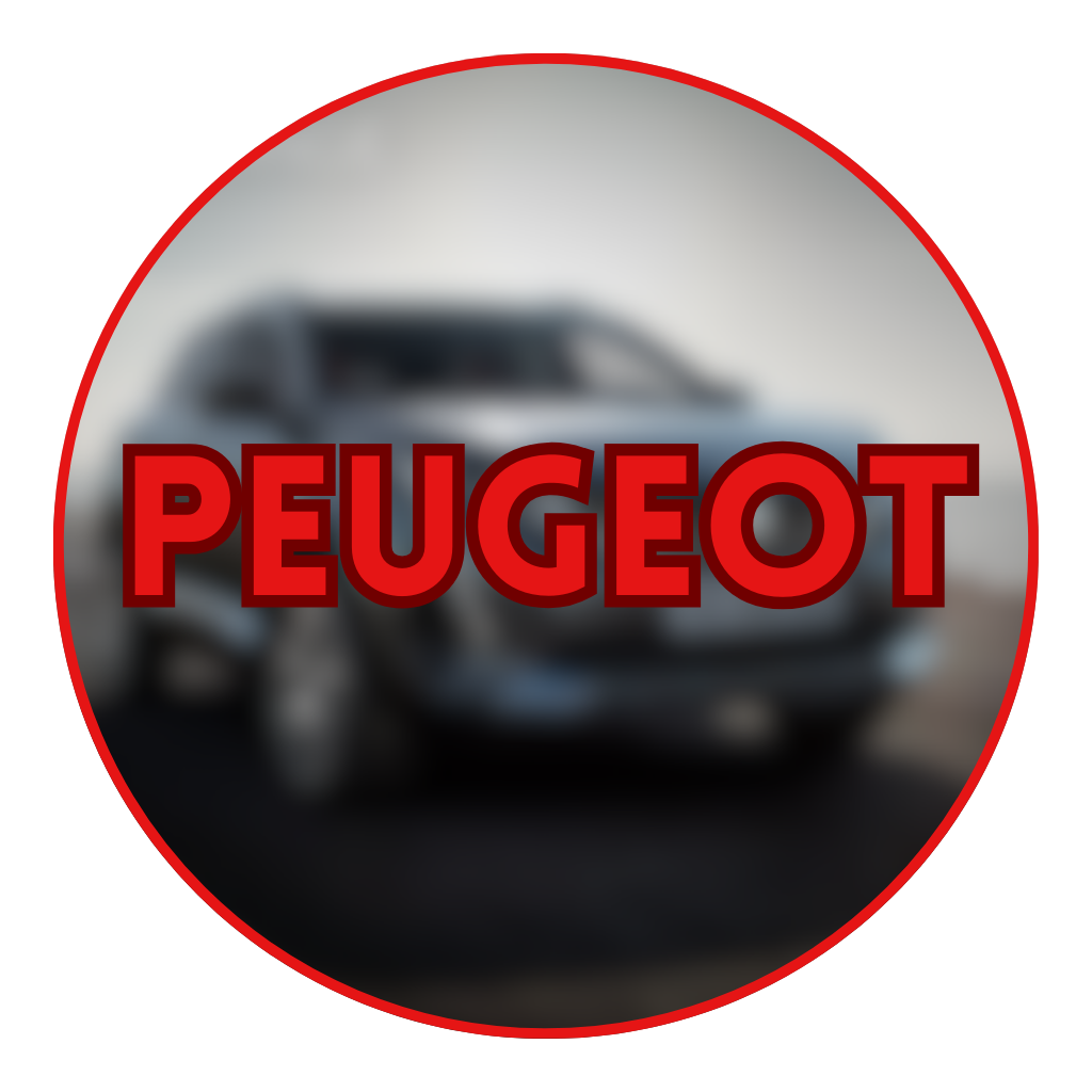 PARTS FOR THE MOST POPULAR CAR BRANDS