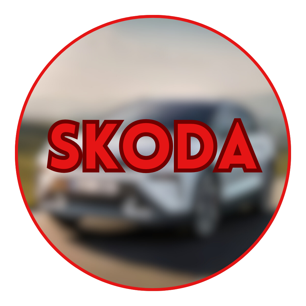 PARTS FOR THE MOST POPULAR CAR BRANDS