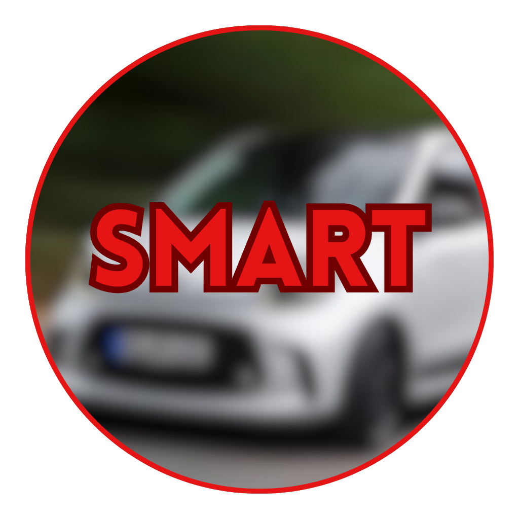 PARTS FOR THE MOST POPULAR CAR BRANDS