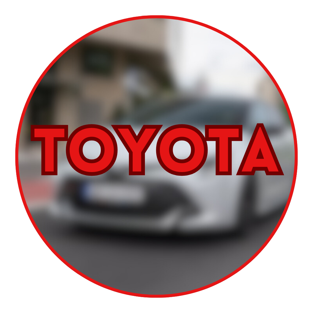 PARTS FOR THE MOST POPULAR CAR BRANDS